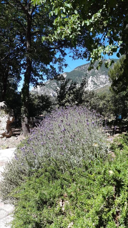 Azienda Agrituristica La Torretta Tocco da Casauria Екстериор снимка