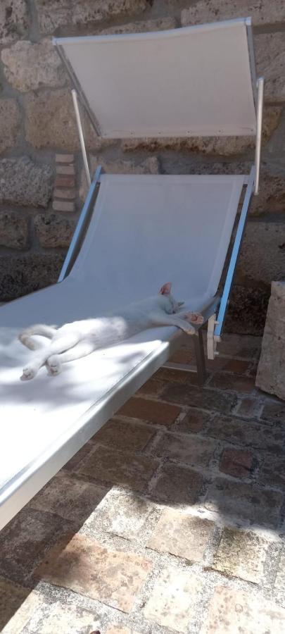 Azienda Agrituristica La Torretta Tocco da Casauria Екстериор снимка