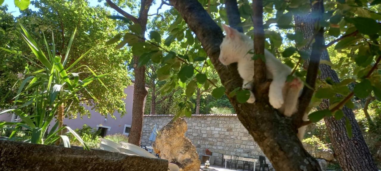Azienda Agrituristica La Torretta Tocco da Casauria Екстериор снимка