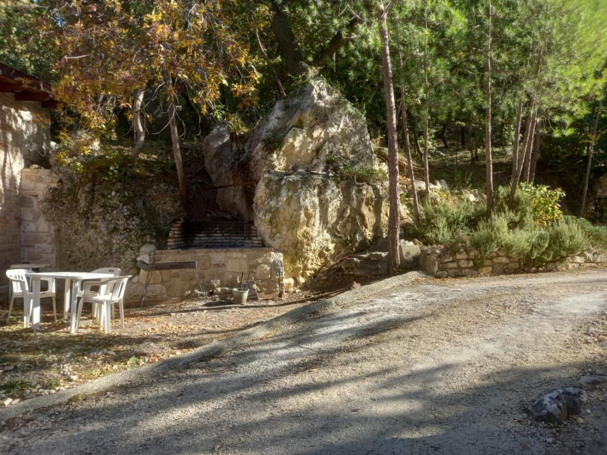 Azienda Agrituristica La Torretta Tocco da Casauria Екстериор снимка