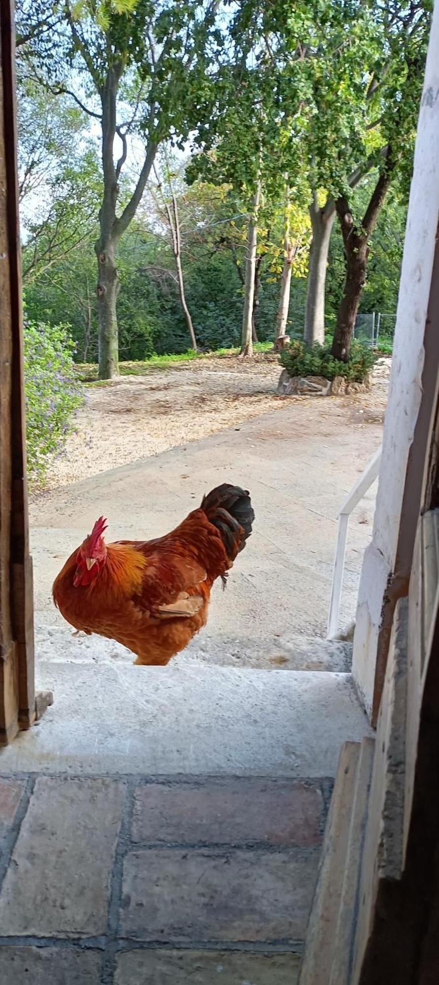 Azienda Agrituristica La Torretta Tocco da Casauria Екстериор снимка